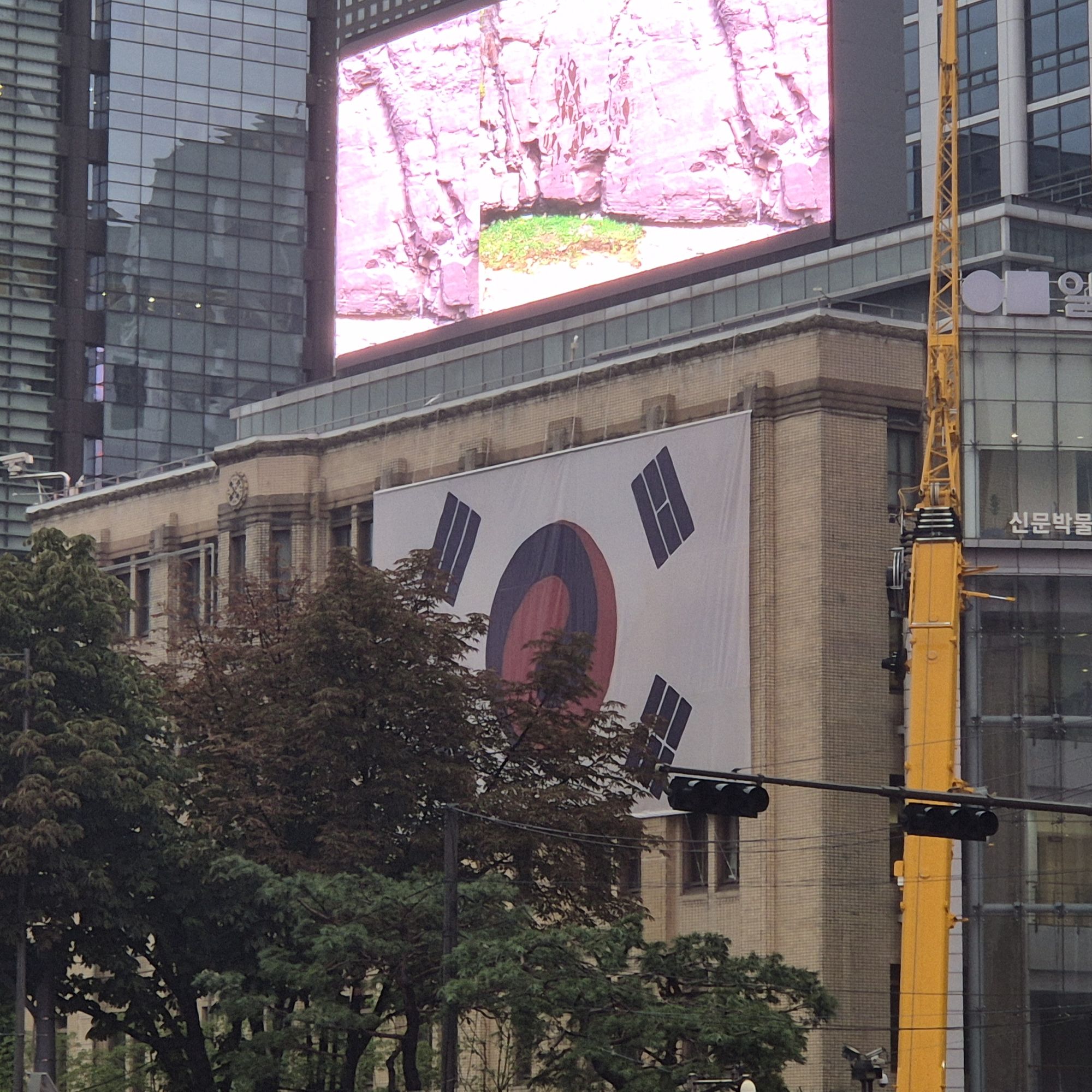 피드 이미지