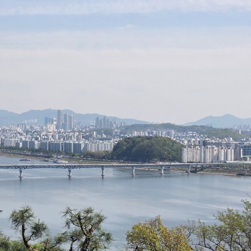 피드 이미지