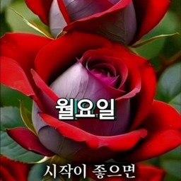 ํผ๋์ ์
๋ก๋ ๋ ์ด๋ฏธ์ง