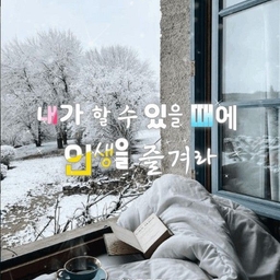 피드에 업로드 된 이미지