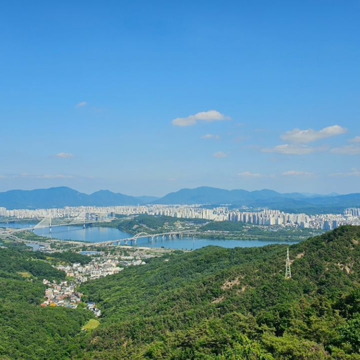 피드 이미지