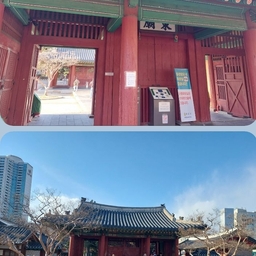 피드에 업로드 된 이미지