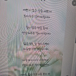 피드에 업로드 된 이미지
