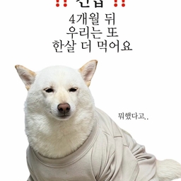 피드에 업로드 된 이미지