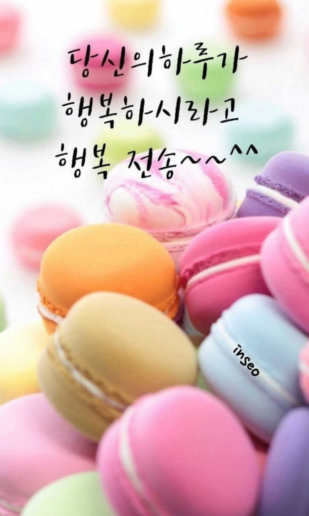 피드에 업로드 된 이미지
