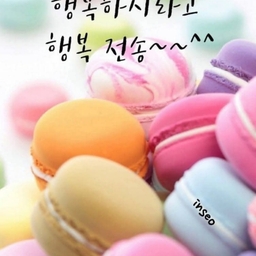 피드에 업로드 된 이미지