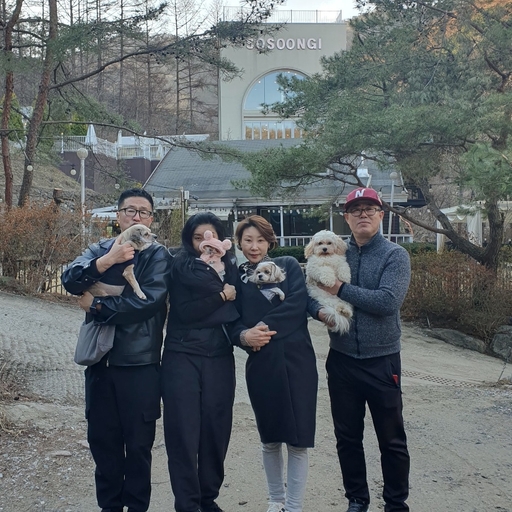 피드 이미지