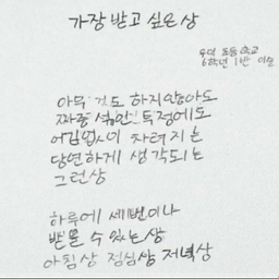 피드에 업로드 된 이미지