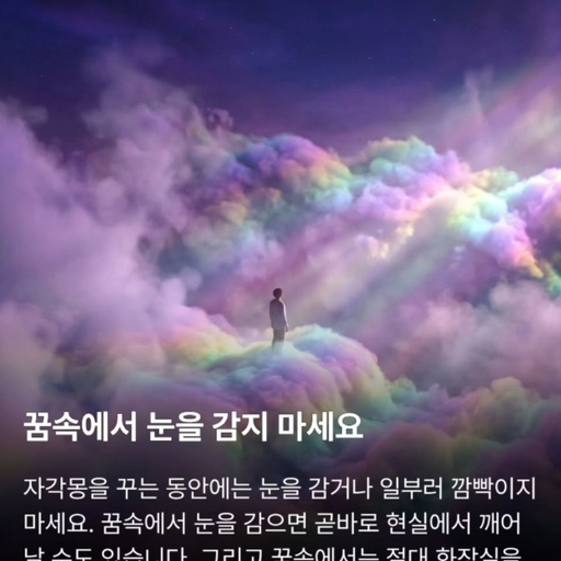 피드 이미지