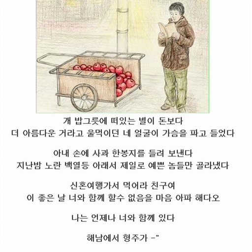 피드 이미지