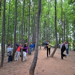 피드에 업로드 된 이미지