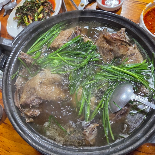 피드 이미지