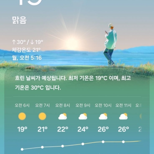 피드 이미지