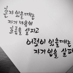 피드에 업로드 된 이미지