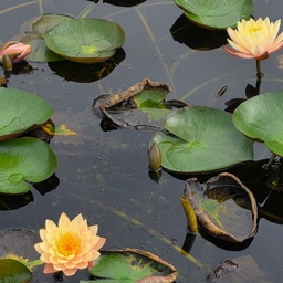 피드에 업로드 된 이미지