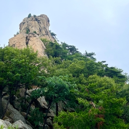 피드에 업로드 된 이미지