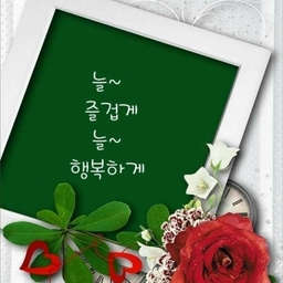 피드에 업로드 된 이미지