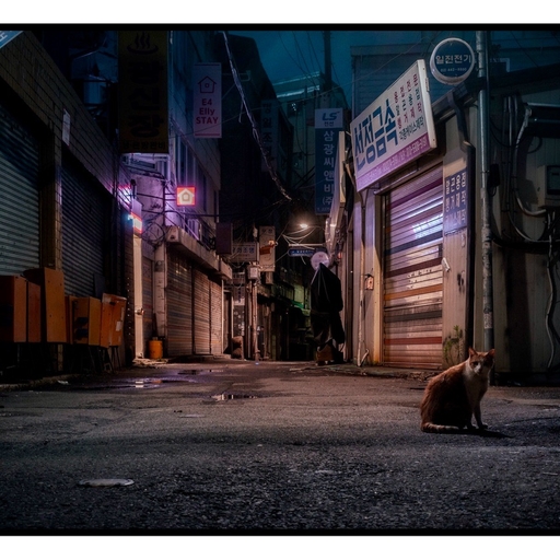 피드 이미지