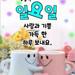 피드에 업로드 된 이미지