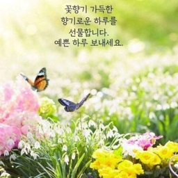 피드에 업로드 된 이미지