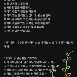피드에 업로드 된 이미지