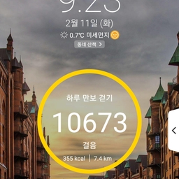 피드에 업로드 된 이미지