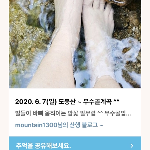 피드 이미지