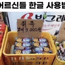 피드에 업로드 된 이미지
