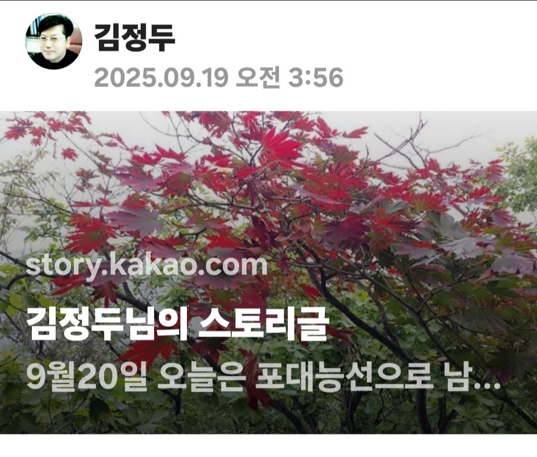 피드 이미지