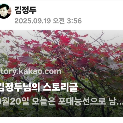 피드 이미지