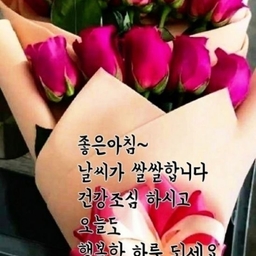 피드에 업로드 된 이미지