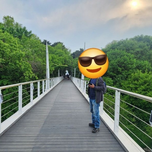 피드 이미지