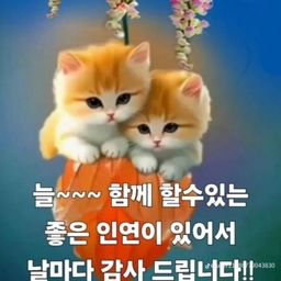 피드에 업로드 된 이미지