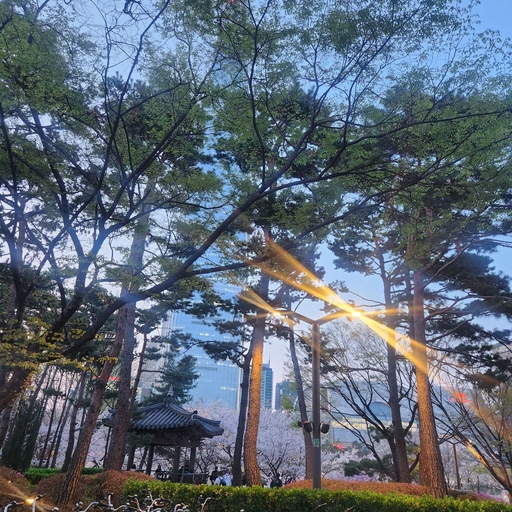 피드 이미지
