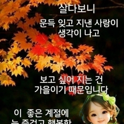 피드에 업로드 된 이미지