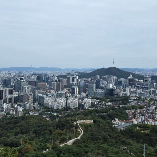 피드 이미지