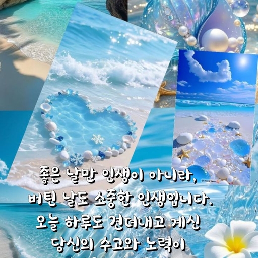 피드 이미지