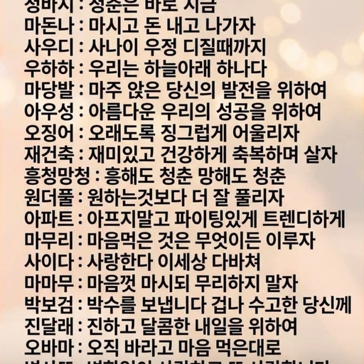 피드 이미지