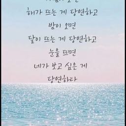 피드에 업로드 된 이미지
