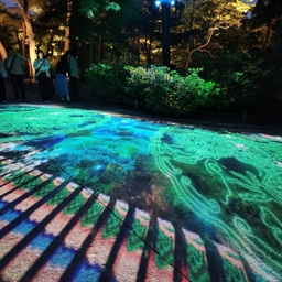 피드에 업로드 된 이미지