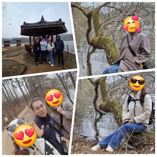 피드 이미지