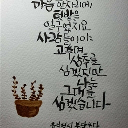 피드에 업로드 된 이미지