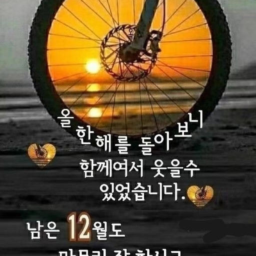 피드 이미지