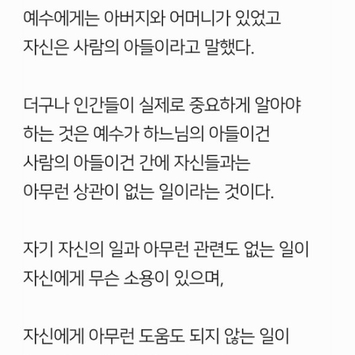 피드 이미지