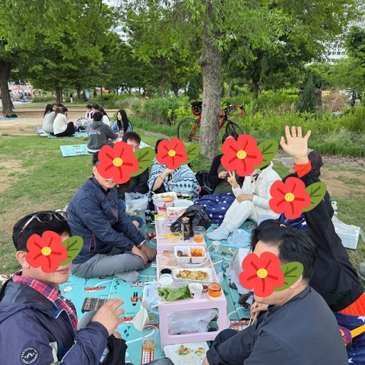 피드 이미지