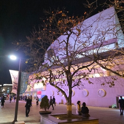 피드에 업로드 된 이미지