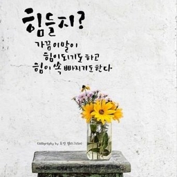 피드에 업로드 된 이미지