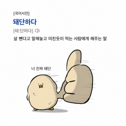 피드에 업로드 된 이미지