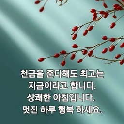 피드에 업로드 된 이미지