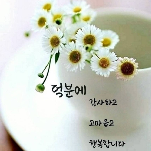 피드 이미지